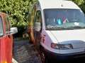 Fiat Ducato 2.8 LKW /Hoch+AHK+ABS/ 1.Hand/ netto 1.386 Euro Білий - thumbnail 1