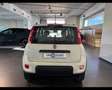 Fiat Panda 3ª serie 0.9 TwinAir Turbo Natural Power City Life Wit - thumbnail 5