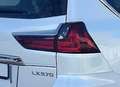 Lexus LX 570 LX570 EXECUTIVE+EU+V8+1HD+VOLL+LexusVorfuhrwagen bijela - thumbnail 13