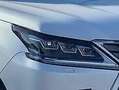 Lexus LX 570 LX570 EXECUTIVE+EU+V8+1HD+VOLL+LexusVorfuhrwagen Wit - thumbnail 14
