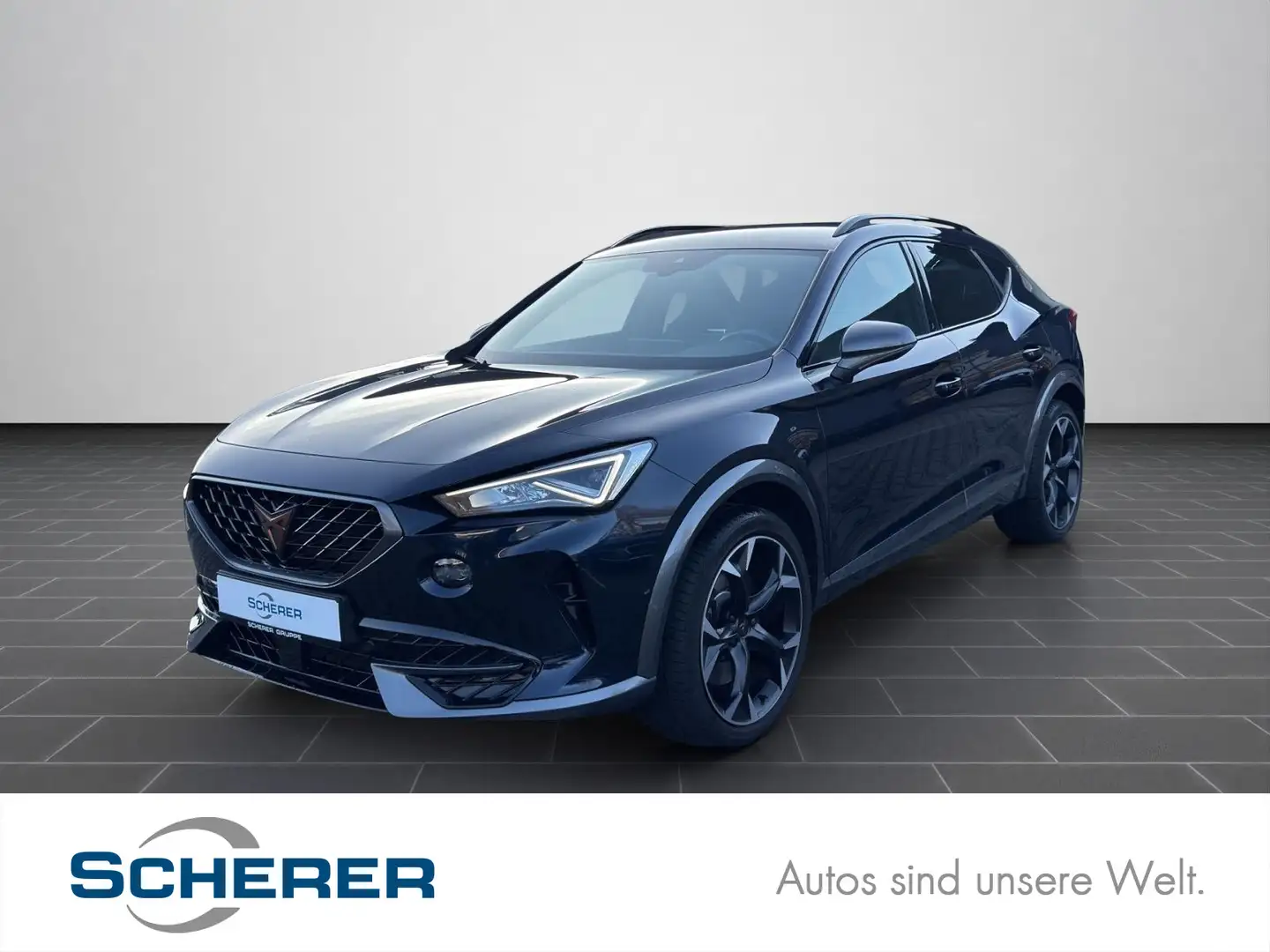CUPRA Formentor VZ 2.0 TSI NAVI AHK KAMERA ACC Blau - 1