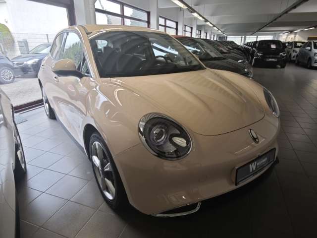 Ora Navi Digitales Cockpit 360 Kamera LED ACC Apple Ca