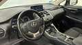 Lexus NX 300 300h Business Navigation 2WD Alb - thumbnail 4