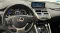 Lexus NX 300 300h Business Navigation 2WD Beyaz - thumbnail 6