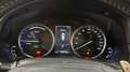 Lexus NX 300 300h Business Navigation 2WD Білий - thumbnail 5