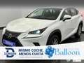Lexus NX 300 300h Business Navigation 2WD White - thumbnail 1