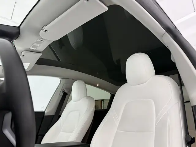 Tesla Model Y view 29