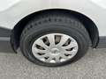 Nissan NV300 1.6dci 120cv 9Posti L2 2Clima 2Porte Scorr E6C IVA Szary - thumbnail 18