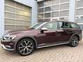 Volkswagen Passat Alltrack 2.0 4Motion LED/ACC/DAB/Pano Rojo - thumbnail 7