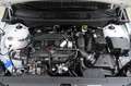 Kia Sportage 1.6 T-GDI 2WD 48V ISG DCT Vision! Blanc - thumbnail 6