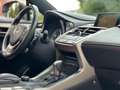 Lexus NX 300h AWD F Sport Line|Pano|Camera|Garantie t/m 9-2025 Gris - thumbnail 8