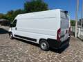 Fiat Ducato 35 2.2 MJT 140 CV LH2 CON RAMPA DI CARICO Bianco - thumbnail 6