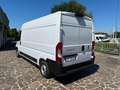Fiat Ducato 35 2.2 MJT 140 CV LH2 CON RAMPA DI CARICO Bianco - thumbnail 7
