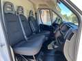 Fiat Ducato 35 2.2 MJT 140 CV LH2 CON RAMPA DI CARICO Bianco - thumbnail 12