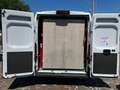 Fiat Ducato 35 2.2 MJT 140 CV LH2 CON RAMPA DI CARICO Bianco - thumbnail 9