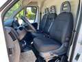Fiat Ducato 35 2.2 MJT 140 CV LH2 CON RAMPA DI CARICO Bianco - thumbnail 11