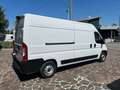 Fiat Ducato 35 2.2 MJT 140 CV LH2 CON RAMPA DI CARICO Bianco - thumbnail 8