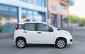 Fiat Panda 0.9 TwinAir Turbo Natural Power Easy-NEOPATENTATI Bianco - thumbnail 3