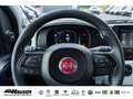 Fiat Panda Pandina Cross Hybrid 1.0 GSE NEUES MODELL 2024 TEM Blau - thumbnail 17