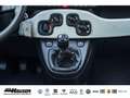 Fiat Panda Pandina Cross Hybrid 1.0 GSE NEUES MODELL 2024 TEM Blau - thumbnail 13