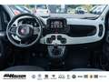 Fiat Panda Pandina Cross Hybrid 1.0 GSE NEUES MODELL 2024 TEM Blau - thumbnail 11