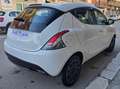 Lancia Ypsilon 1.0 FireFly 5 porte Hybrid Gold Bianco - thumbnail 5