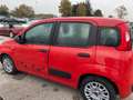 Fiat Panda 1.0 FireFly S&S Hybrid x commercianti Rosso - thumbnail 2