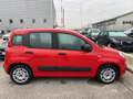 Fiat Panda 1.0 FireFly S&S Hybrid x commercianti Rosso - thumbnail 6