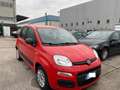 Fiat Panda 1.0 FireFly S&S Hybrid x commercianti Rosso - thumbnail 5