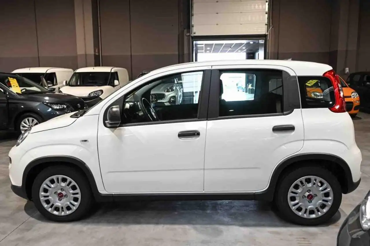Fiat Panda Hybrid 1.0 70cv 7