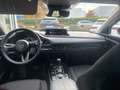 Mazda CX-30 2.5L e-SKYACTIV G 140ps Aut. Homura Noir - thumbnail 13