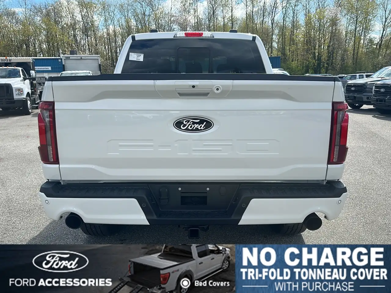 Ford F 150 photo Ford F 150