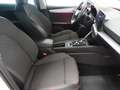 SEAT Leon ST FR TDI DSG *ACC, LED, NAVI, RFK* Weiß - thumbnail 17