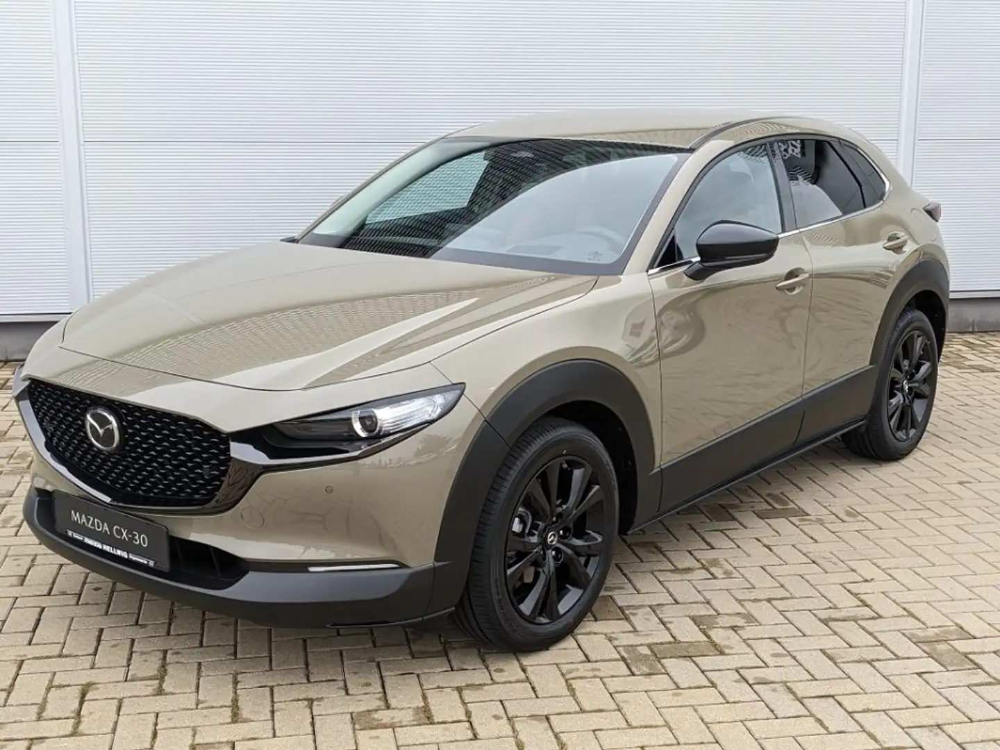Mazda CX-30 2.5l (140PS) Nagisa Teilleder Bose Navi NEU 2025 Weiß - 2