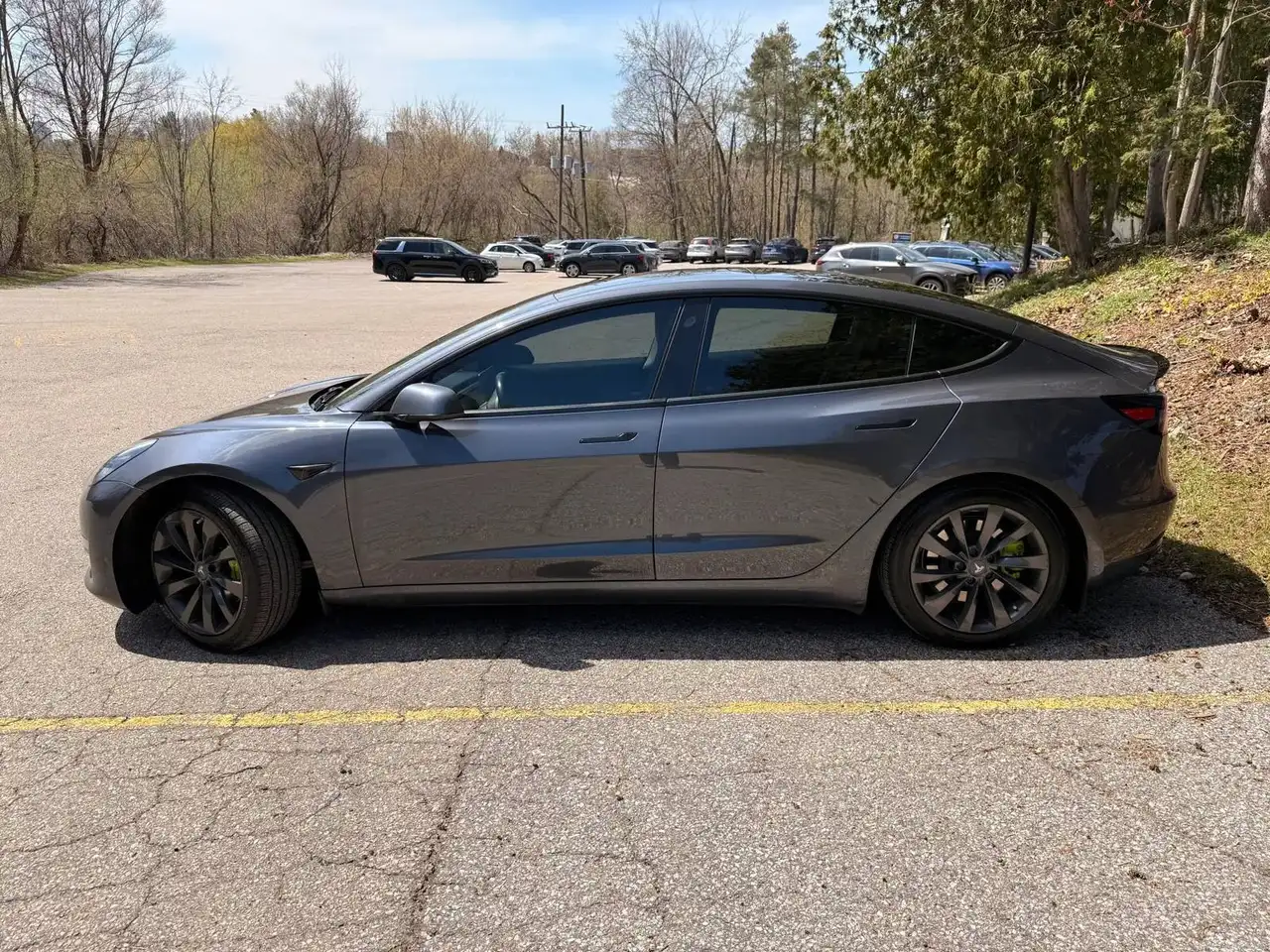 2019 Tesla Model 3