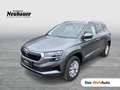 Skoda Karoq 4x4 Selection TDI DSG Grau - thumbnail 1