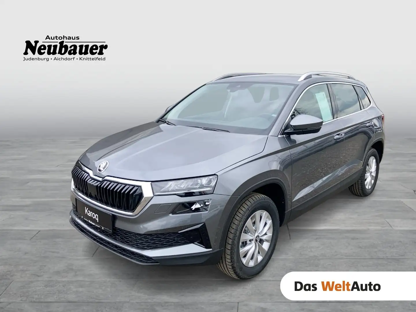 Skoda Karoq 4x4 Selection TDI DSG Grau - 1