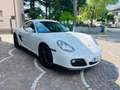 Porsche Cayman 2.9 Manuale  6 marce - prima vernice - italiana  - Bianco - thumbnail 3