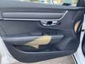 Volvo V90 D3 AWD Kinetic Geartronic Weiß - thumbnail 12
