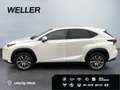 Lexus NX 300h Business Edition *LED*RCam*SHZ*Navi*PDC* Weiß - thumbnail 5