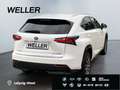 Lexus NX 300h Business Edition *LED*RCam*SHZ*Navi*PDC* Weiß - thumbnail 19