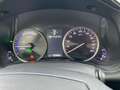 Lexus NX 300h Business Edition *LED*RCam*SHZ*Navi*PDC* Weiß - thumbnail 15
