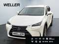 Lexus NX 300h Business Edition *LED*RCam*SHZ*Navi*PDC* Weiß - thumbnail 1