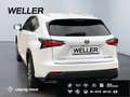 Lexus NX 300h Business Edition *LED*RCam*SHZ*Navi*PDC* Weiß - thumbnail 7