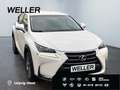 Lexus NX 300h Business Edition *LED*RCam*SHZ*Navi*PDC* Weiß - thumbnail 4