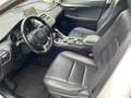 Lexus NX 300h Business Edition *LED*RCam*SHZ*Navi*PDC* Weiß - thumbnail 9