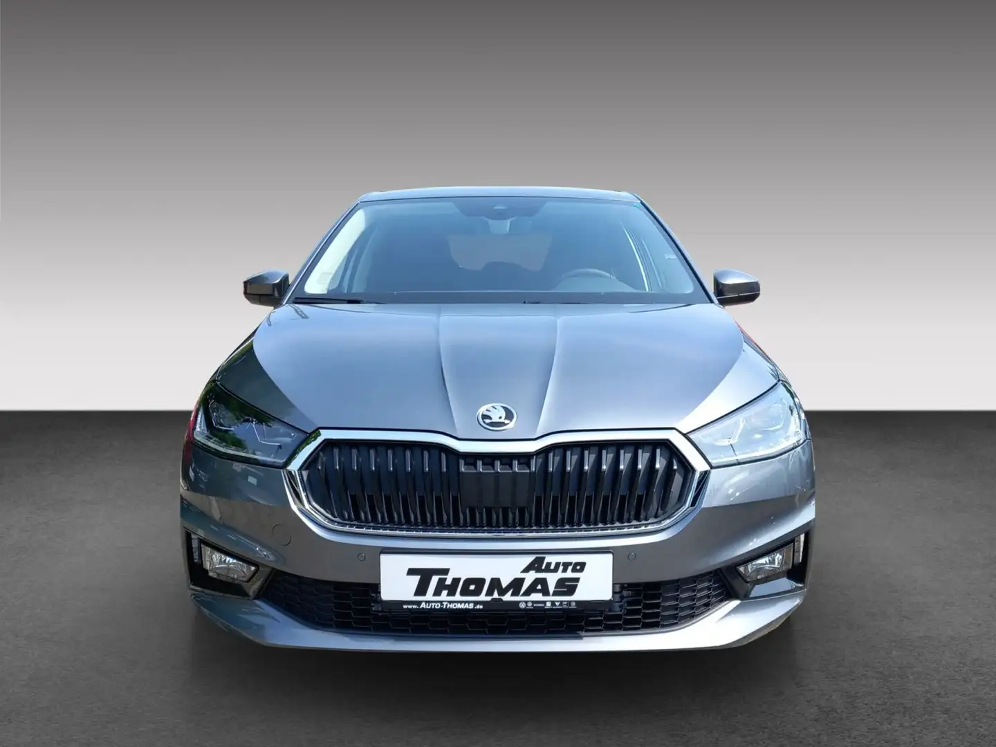 Skoda Fabia FABIA 1.0 Tour *LED*KAMERA*SHZ* Grijs - 2