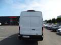 Ford Transit Kasten 2.0Tdci-130Ps*350 L4 H3 *Euro6 Weiß - thumbnail 6