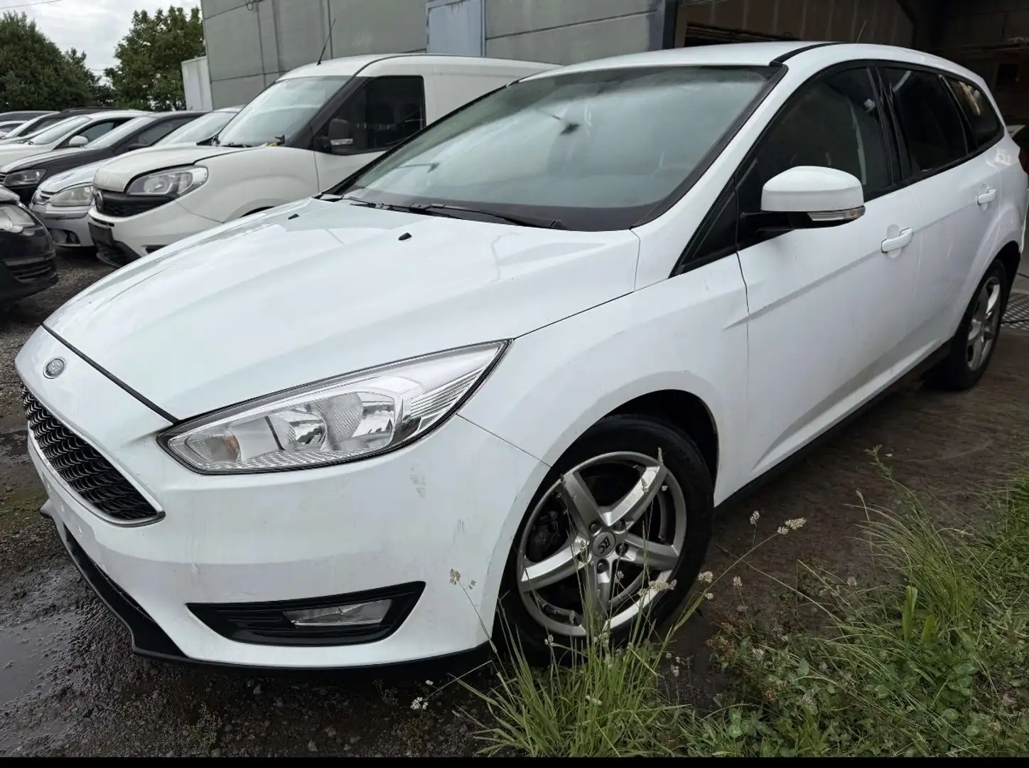 Ford Focus Focus 1.5 TDCi Business Class PowerShift - 1