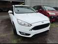 Ford Focus Focus 1.5 TDCi Business Class PowerShift - thumbnail 2